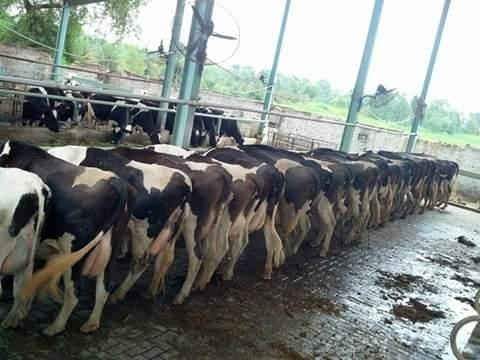 We are finding your image!